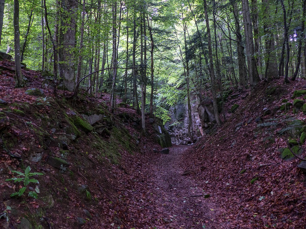 Auf dem Weg zum alten Steinbruch