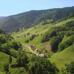 Auf dem Weg zum Belchen