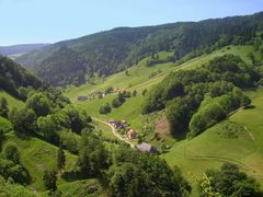 Auf dem Weg zum Belchen