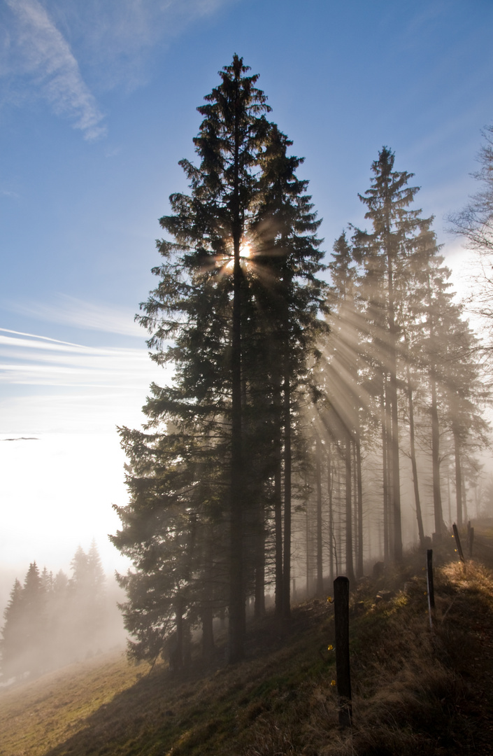 Auf dem Weg zum Belchen...