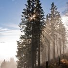 Auf dem Weg zum Belchen...