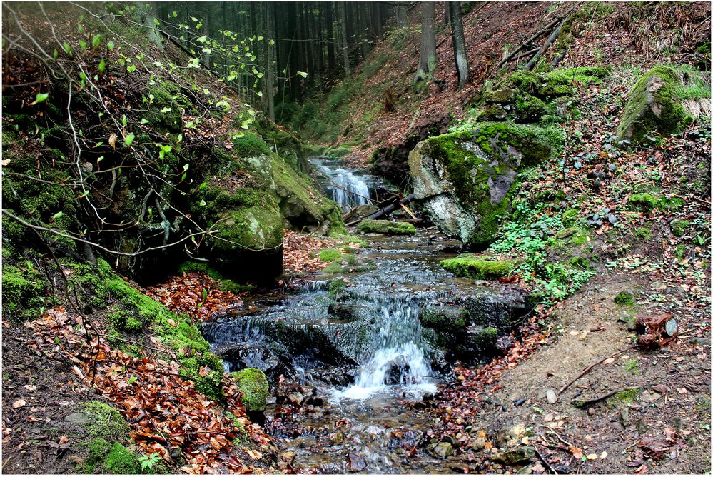 Auf dem Weg zum Beuthenfall