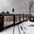 Auf dem Weg zum Brocken 002a