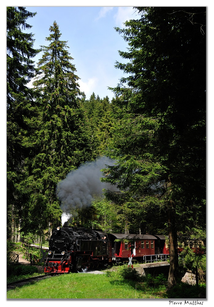 Auf dem Weg zum Brocken