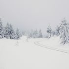 Auf dem Weg zum Brocken (10)