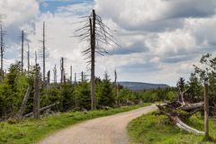 Auf dem Weg zum Brocken