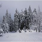 Auf dem Weg zum Brocken (2)