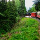 Auf dem Weg zum Brocken