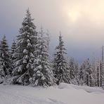 Auf dem Weg zum Brocken (7)