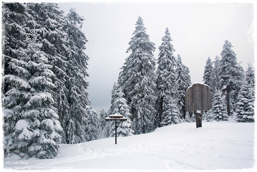 Auf dem Weg zum Brocken (8)