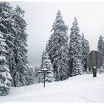 Auf dem Weg zum Brocken (8)