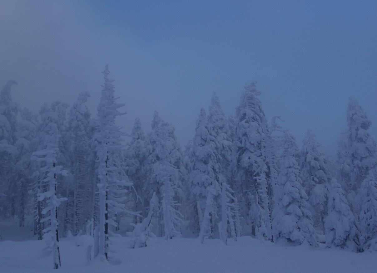 Auf dem Weg zum Brocken