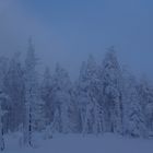 Auf dem Weg zum Brocken