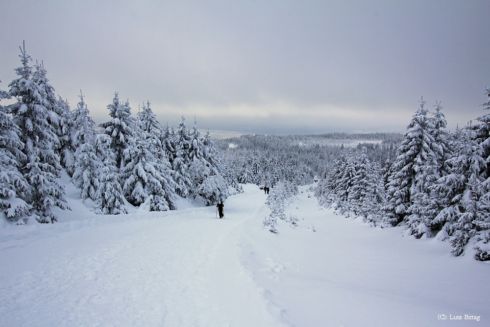 Auf dem Weg zum Brocken (9)