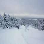 Auf dem Weg zum Brocken (9)