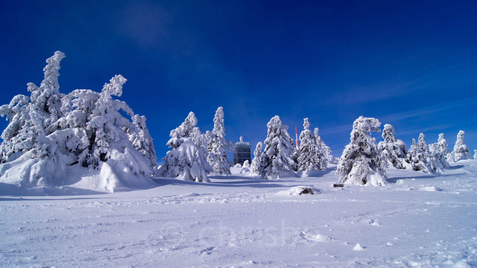 Auf dem Weg zum Brocken