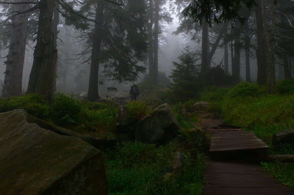 Auf dem Weg zum Brocken