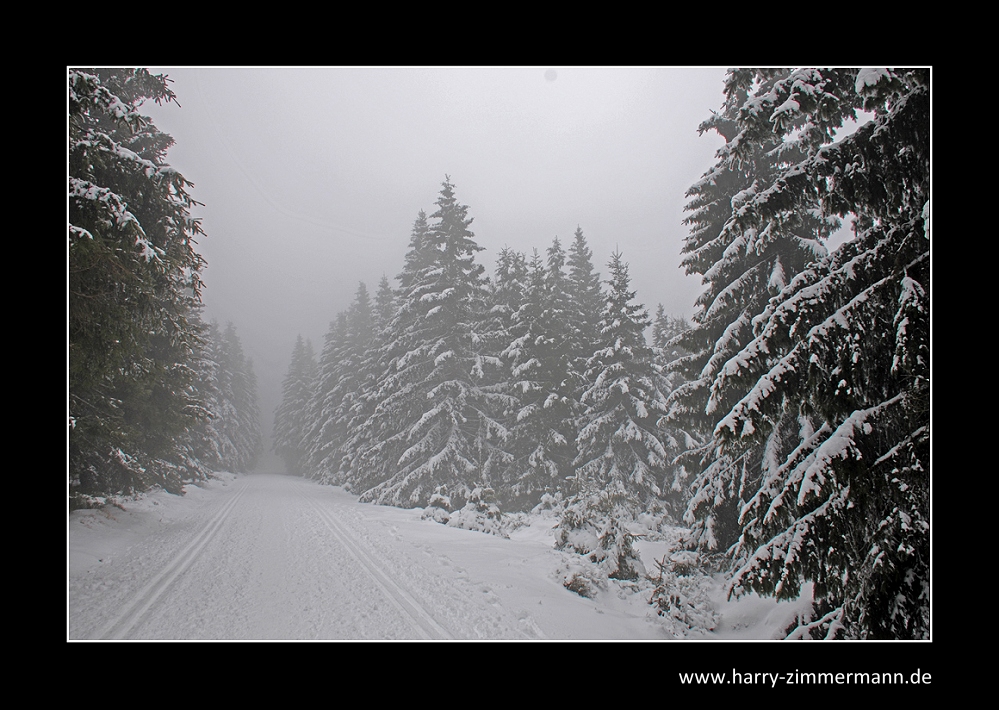 Auf dem Weg zum Brocken