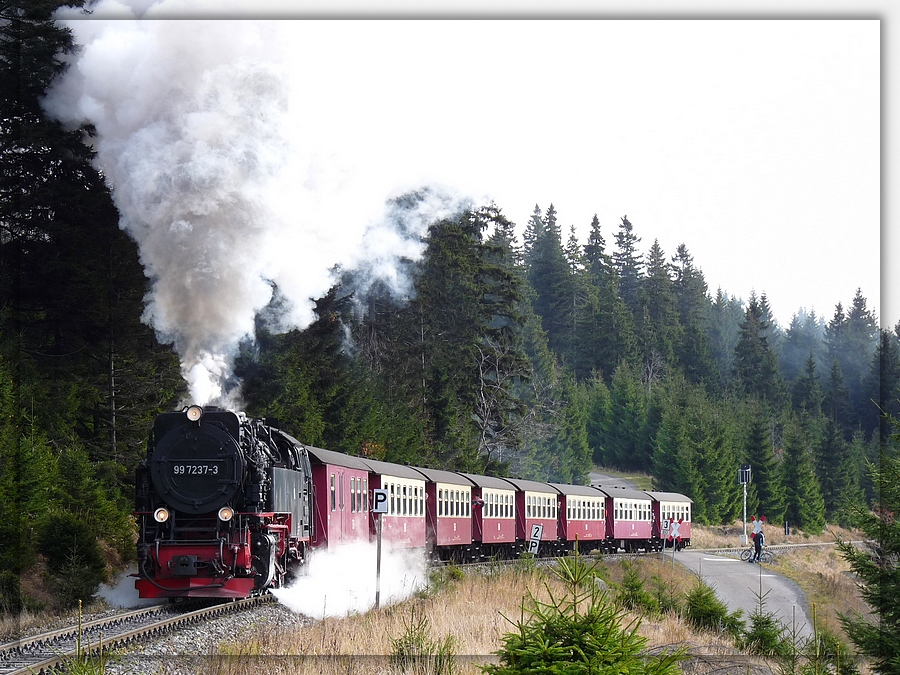 Auf dem Weg zum Brocken...