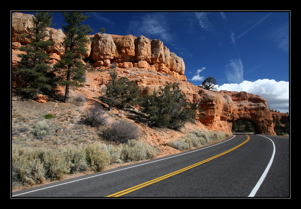 Auf dem Weg zum Bryce Canyon!