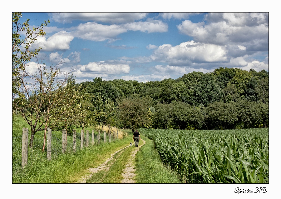 Auf dem Weg zum Cache...