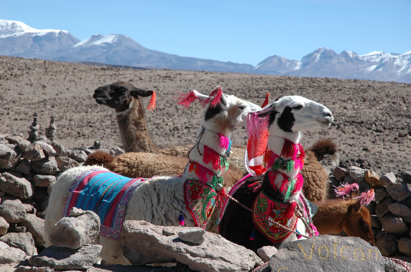 auf dem Weg zum Cañon del Colca - Peru