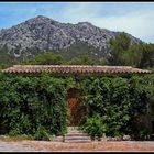 Auf dem Weg zum Cap Formentor