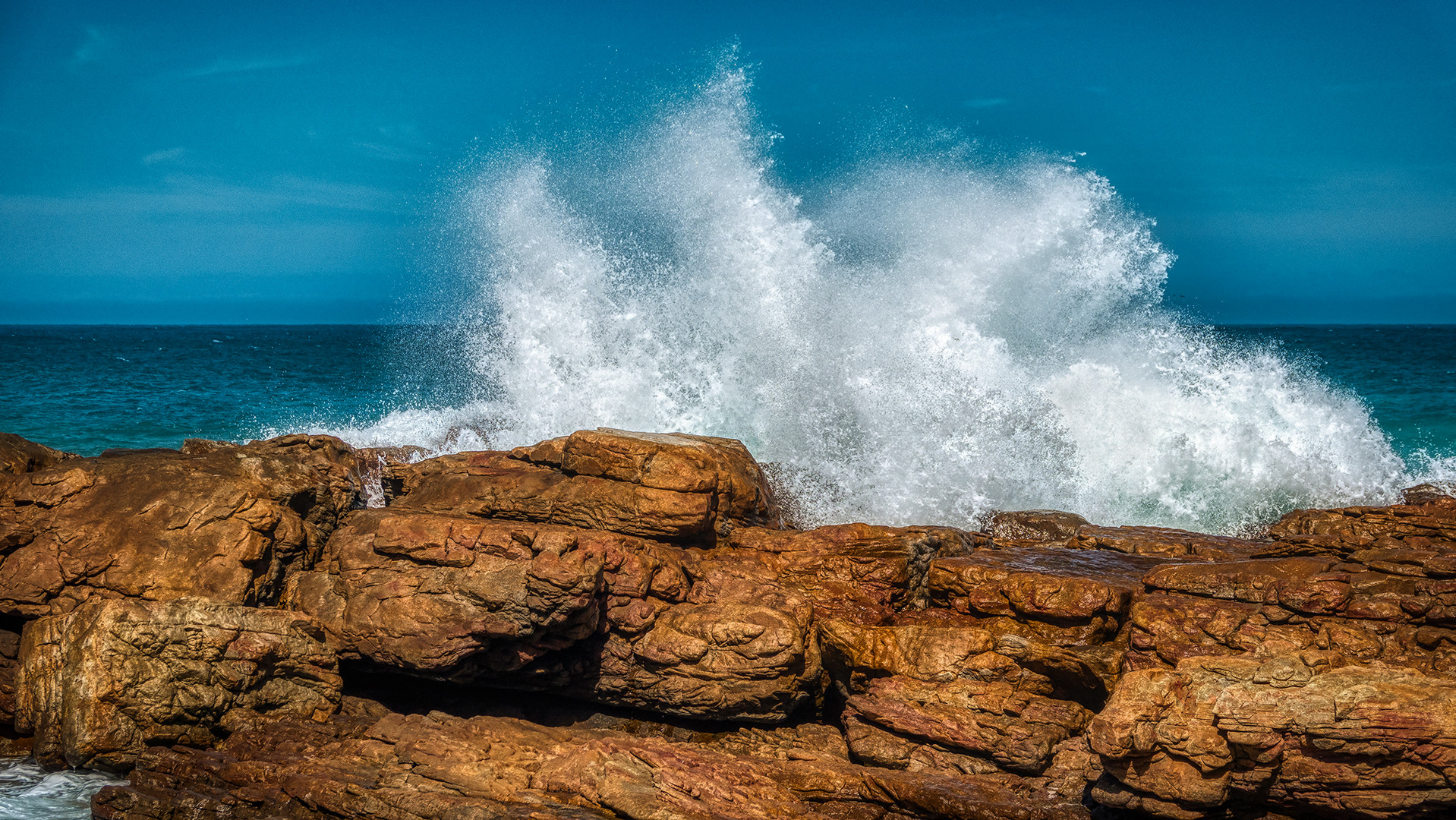 Auf dem Weg zum Cape of Good Hope (15)