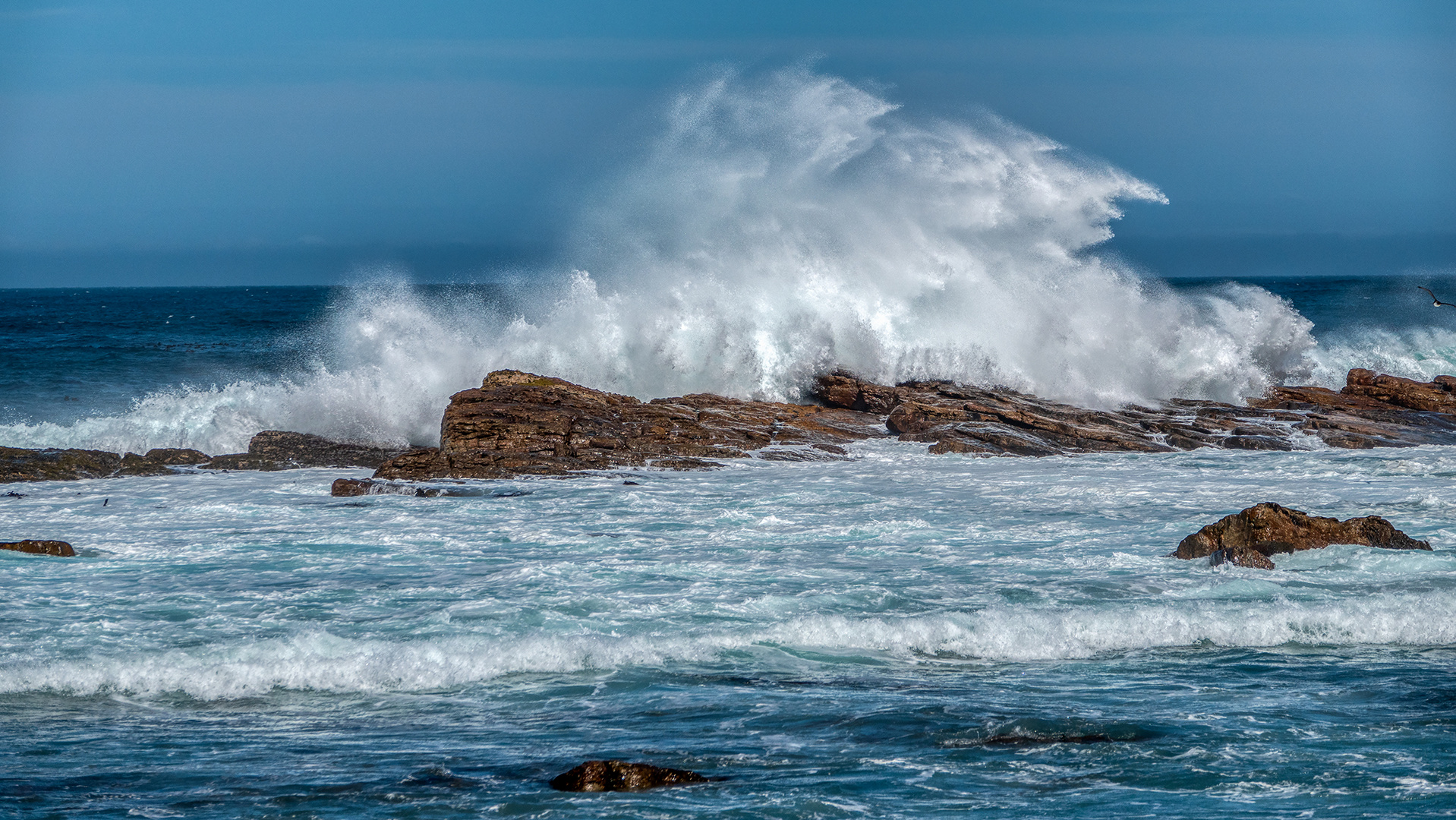 Auf dem Weg zum Cape of Good Hope (20)