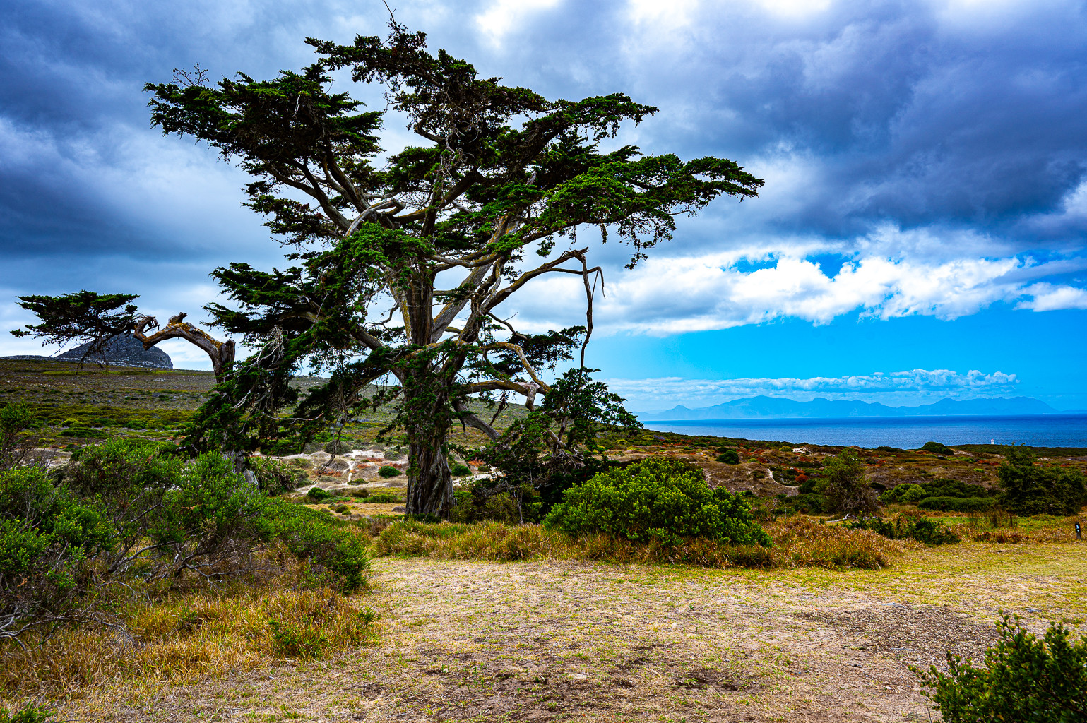 Auf dem Weg zum Cape Point