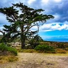 Auf dem Weg zum Cape Point