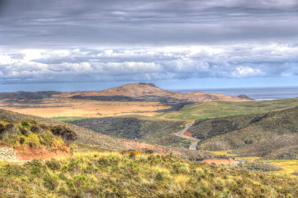 Auf dem Weg zum Cape Reinga