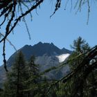 Auf dem Weg zum Cavlocsee bei Maloja/Engadin/CH