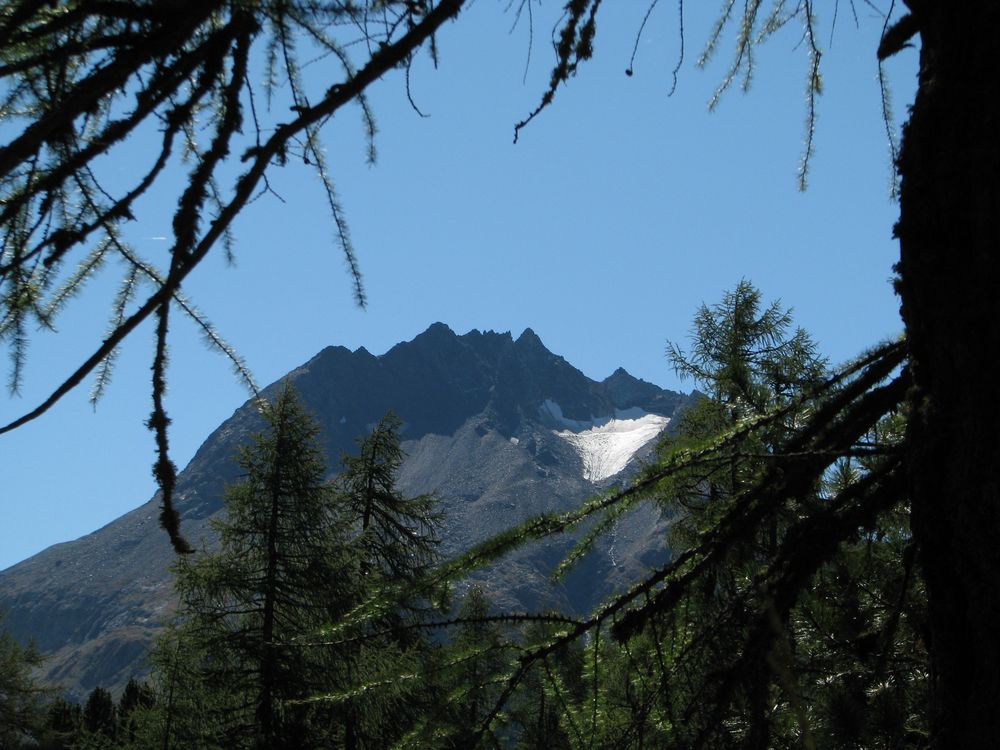 Auf dem Weg zum Cavlocsee bei Maloja/Engadin/CH