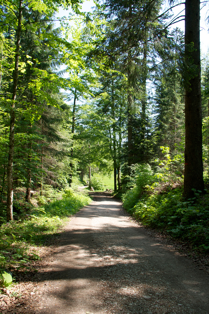 auf dem Weg zum Creux du Van