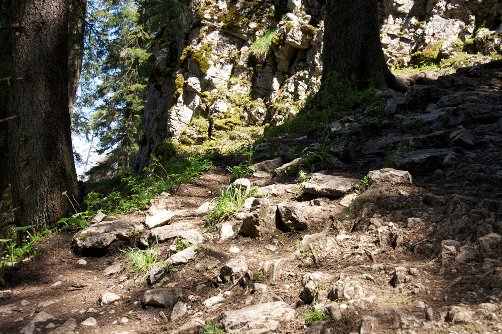 auf dem Weg zum Creux du Van VI