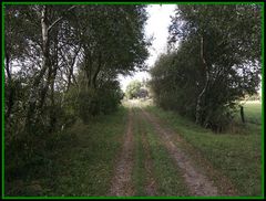 Auf dem Weg zum Damwäterhaus