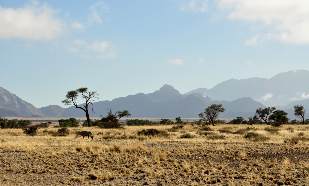 Auf dem Weg zum Dead Vlei