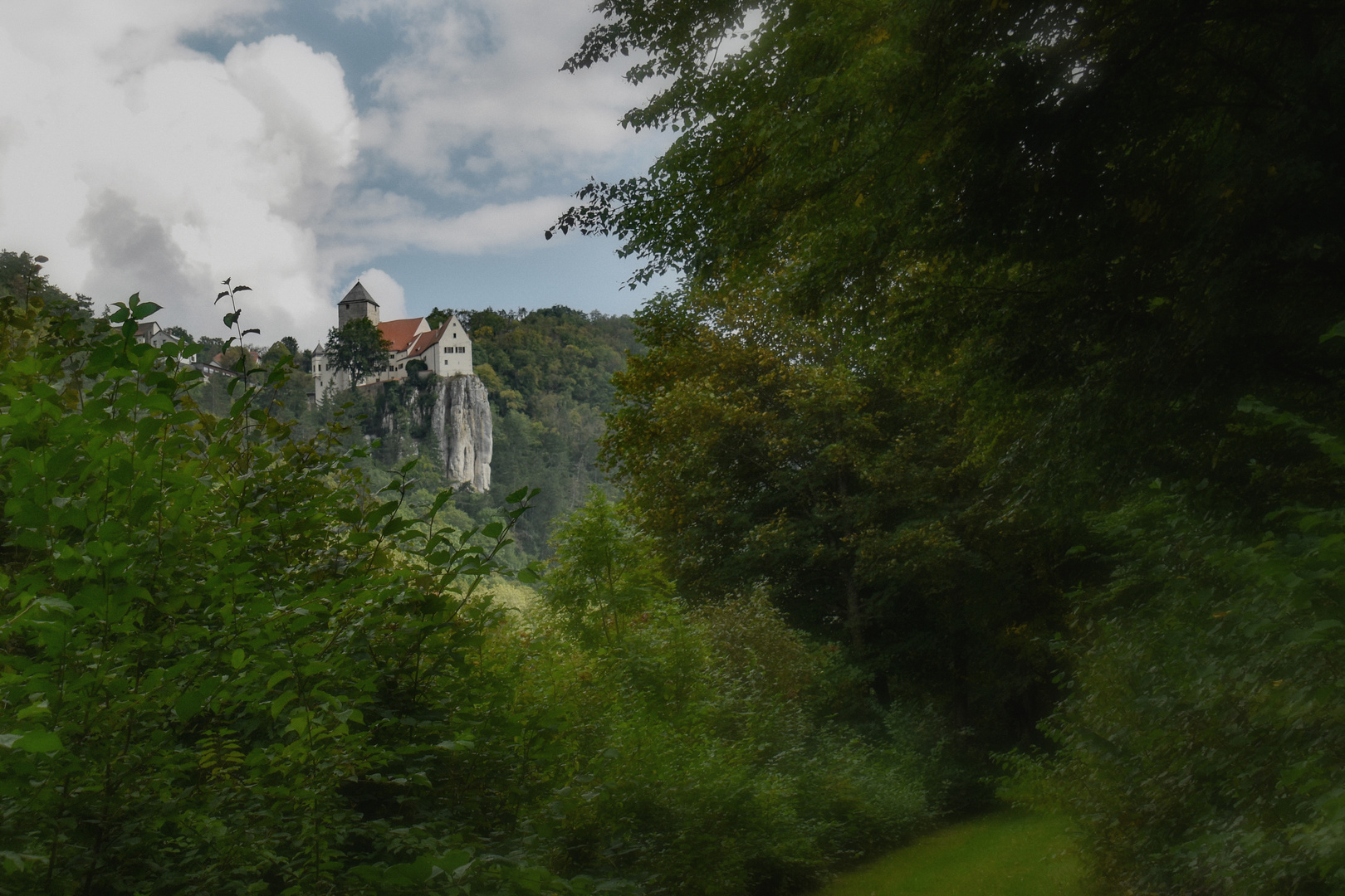 Auf dem Weg zum Dornröschen