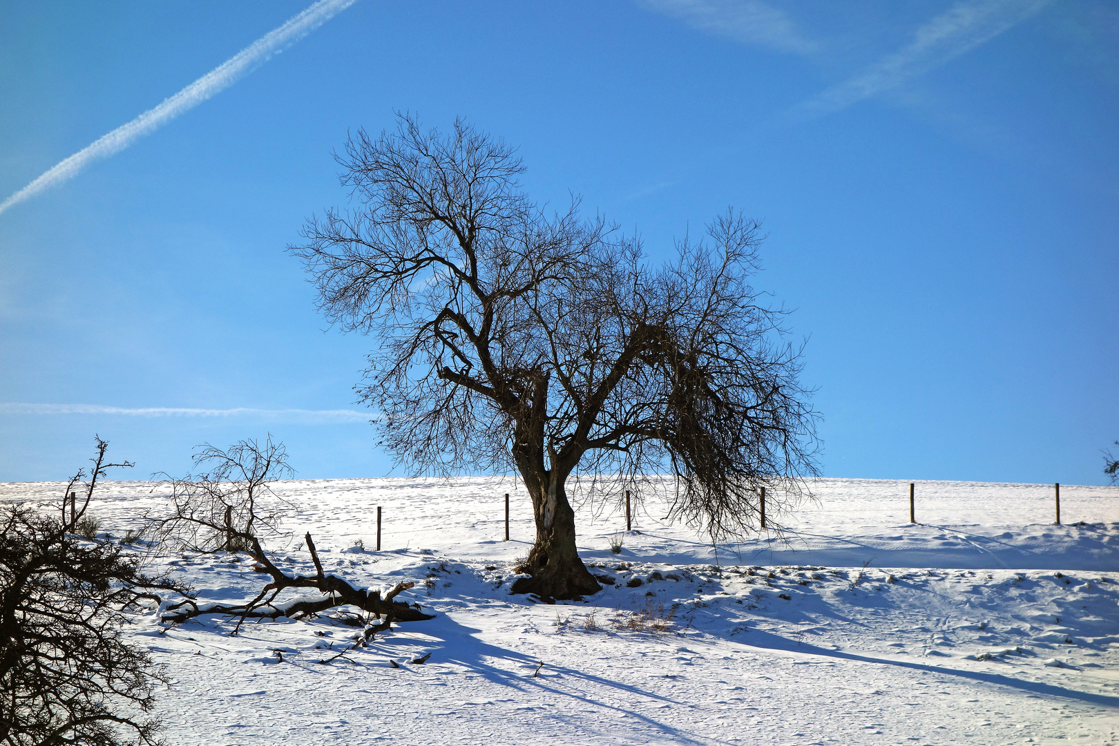 Auf dem Weg zum Enzenberg