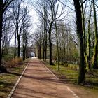 Auf dem Weg zum Erft-Tor in Kaster (Bedburg) ...