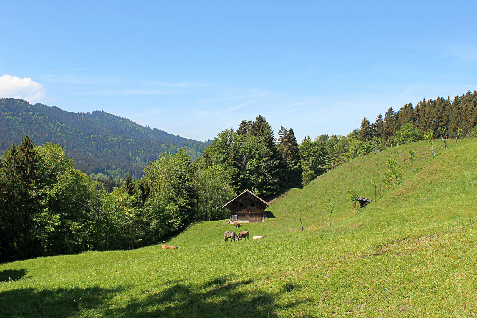 Auf dem Weg zum Etzel ...