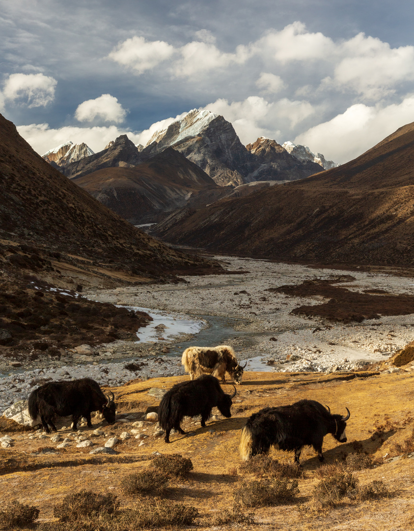 Auf dem Weg zum Everest-Base camp