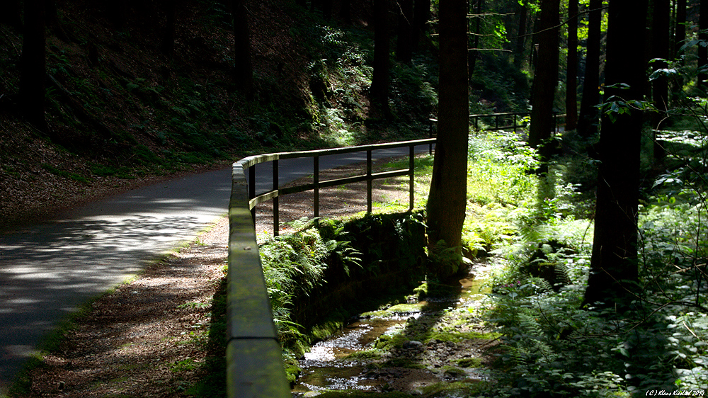 Auf dem Weg zum....