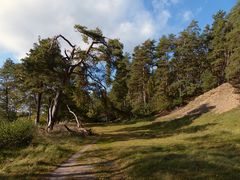 Auf dem Weg zum Feisnecksee