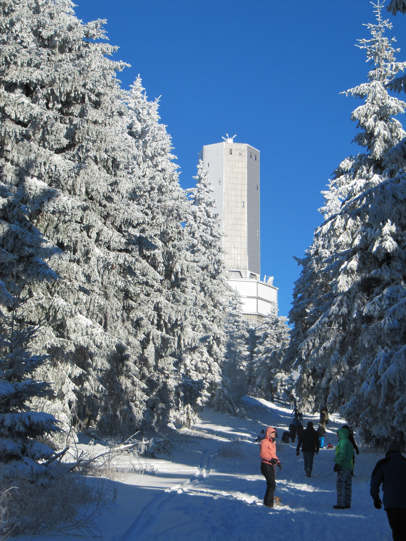 auf dem Weg zum Feldberg