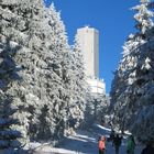 auf dem Weg zum Feldberg