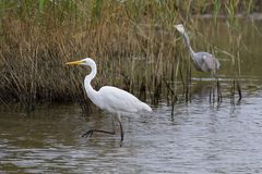 Auf dem Weg zum Fischplatz