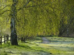 auf dem Weg zum Fluß