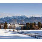 Auf dem Weg zum Forggensee